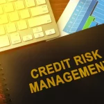 What is credit risk management