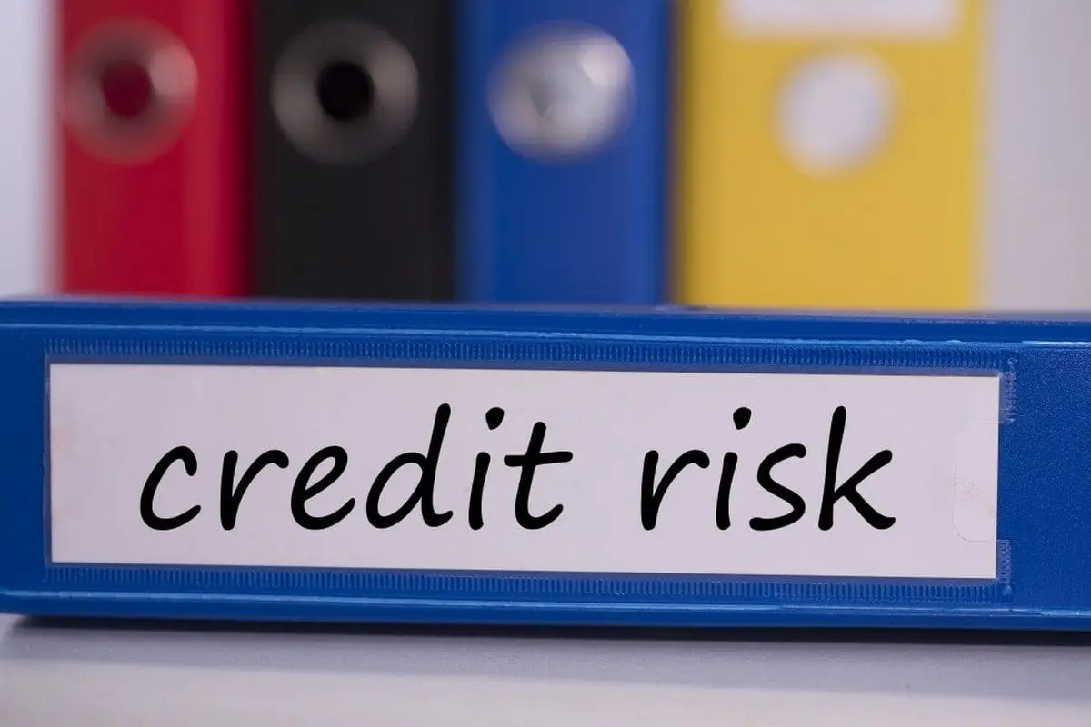 What is Credit Risk