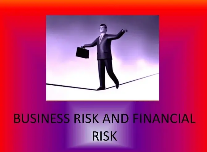 Comparison of Business Risk and Financial Risk1