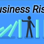 What is a Business Risk